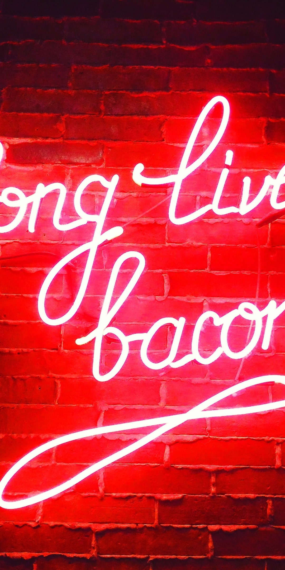 Download Free 100 + bacon live wallpaper