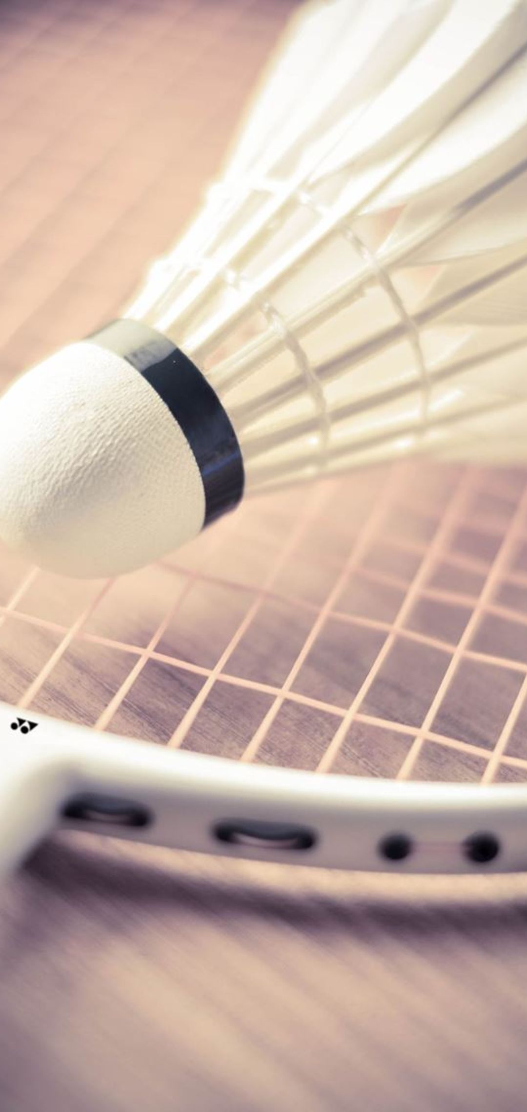 Download Free 100 + badminton quotes Wallpapers