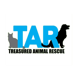 Oswego il animal shelters rescues