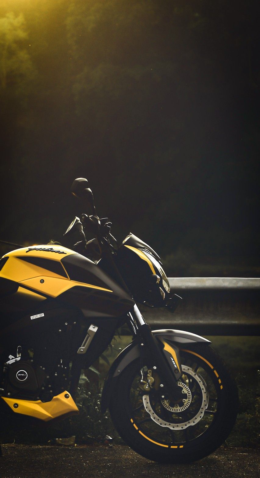 Ns pulsar bike photo bike pic bike photoshoot