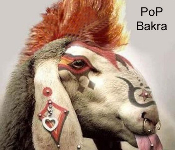 Funny bakra eid eid