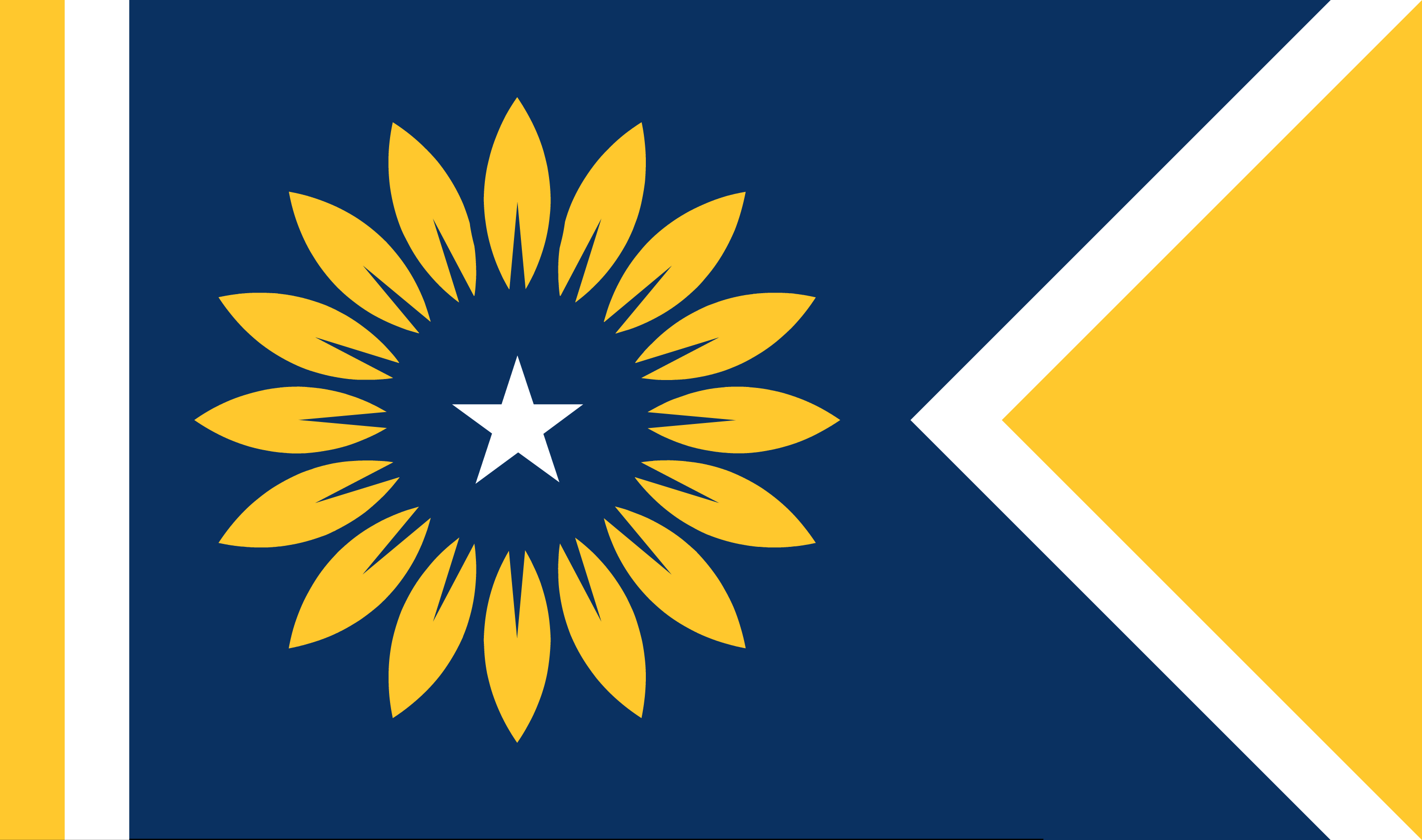 Flags used in the russo