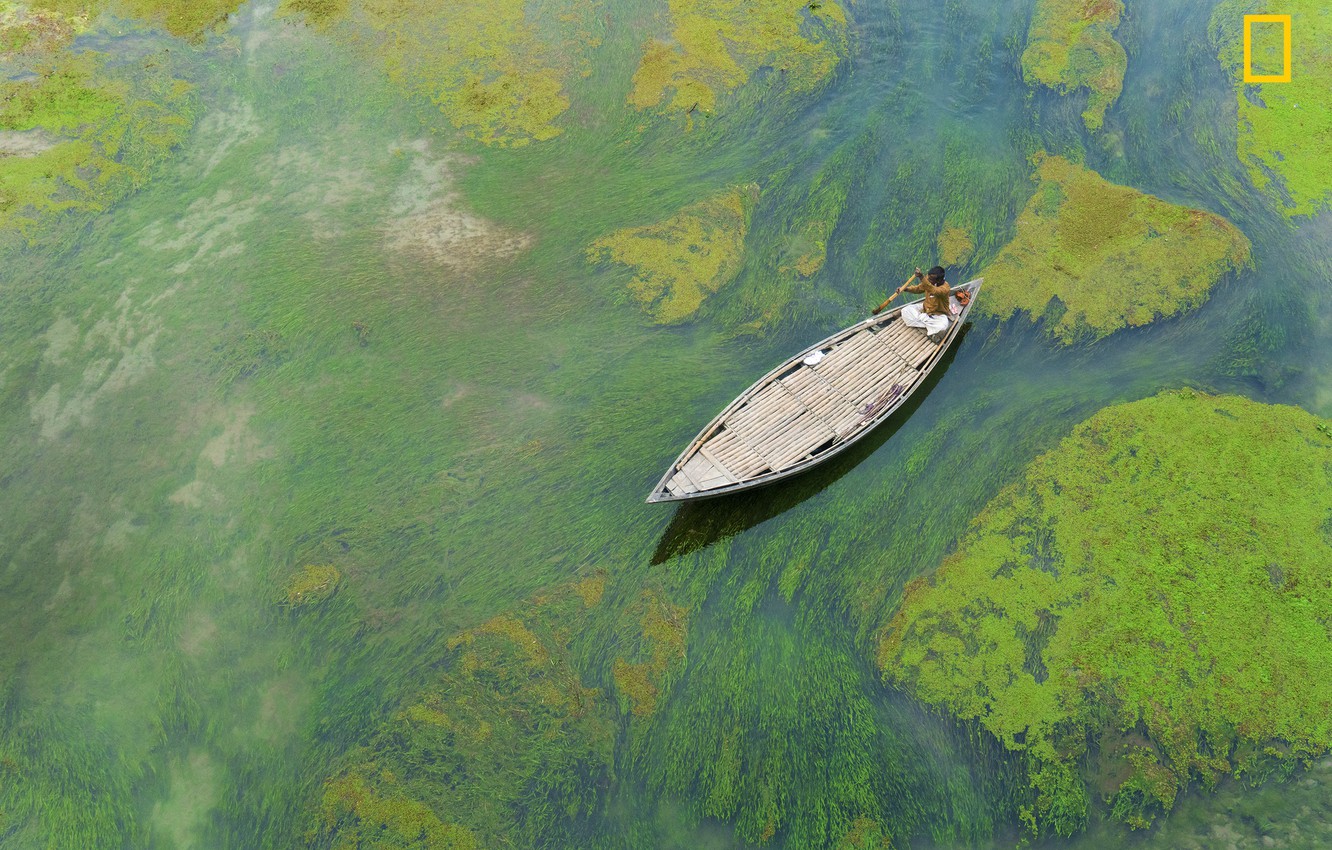 Wallpaper algae river the boatman bangladesh images for desktop section ðñðñððð