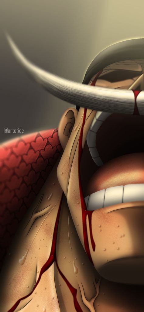 Les rãvãlations de barbe blanche sur le one piece