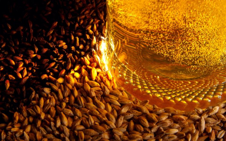 Beer barley wallpapers hd desktop and mobile backgrounds