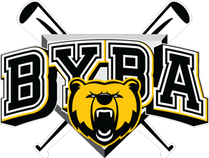 Byron youth baseball association