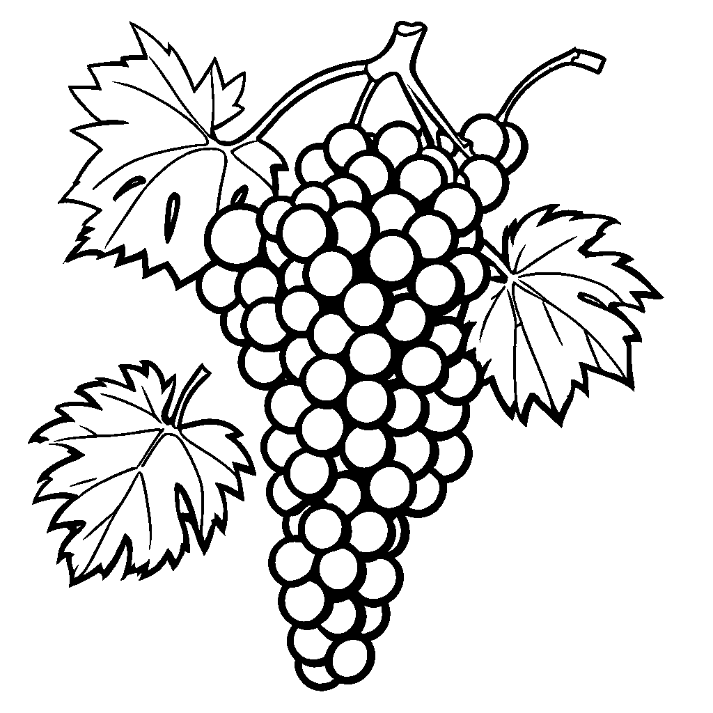 Cluster of grapes coloring page â lulu pages