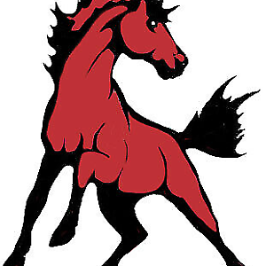 Crimson stallion cycle supply stores