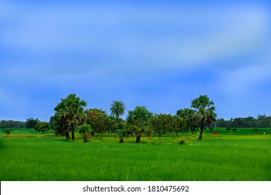 Bangladesh village images stock photos vectors