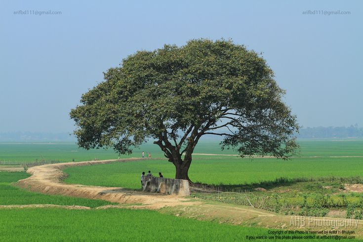 Village nature of bangladesh nature photography village photos nature photos