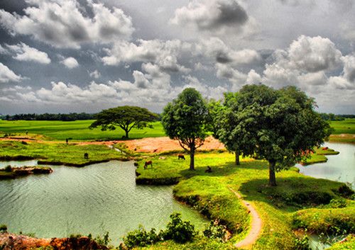 A very beautiful village of bangladesh for campaign wwwpinific village photos beautiful nature scenes beautiful villages