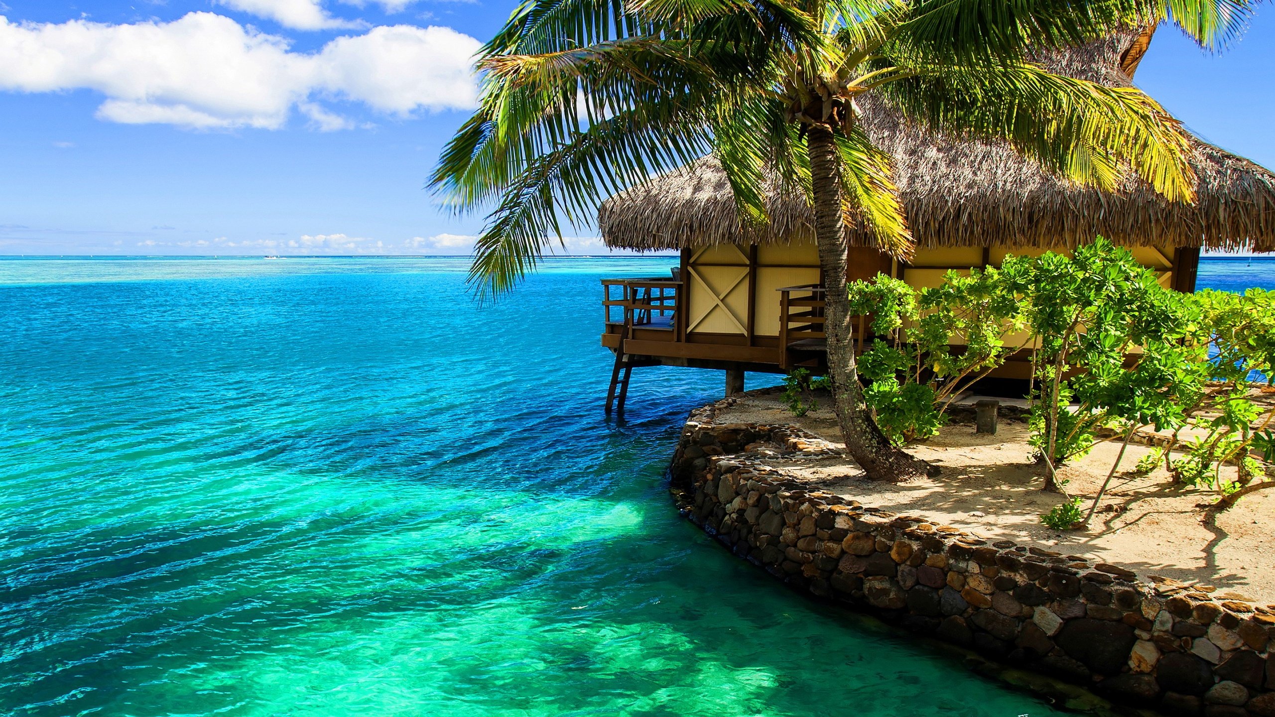 Can I go here ... now! | Summer desktop backgrounds, Beach wallpaper,  Tropical beach resorts