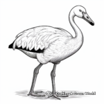 Flamingo coloring pages