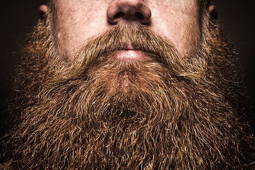 Beard pictures download free images on