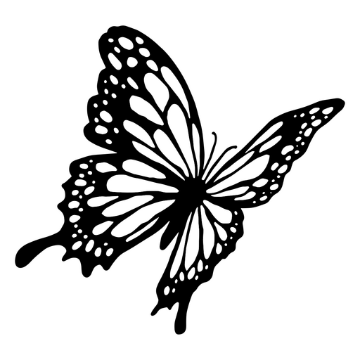 Butterfly png designs for t shirt merch