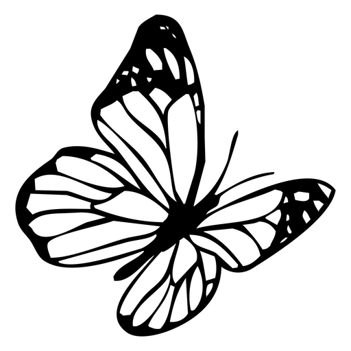 Butterfly png designs for t shirt merch