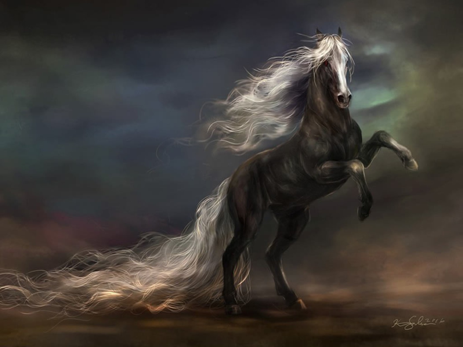 Horse hd papers and backgrounds