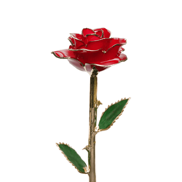 K gold dipped roseâ the perfect gift for her â sparkly roses