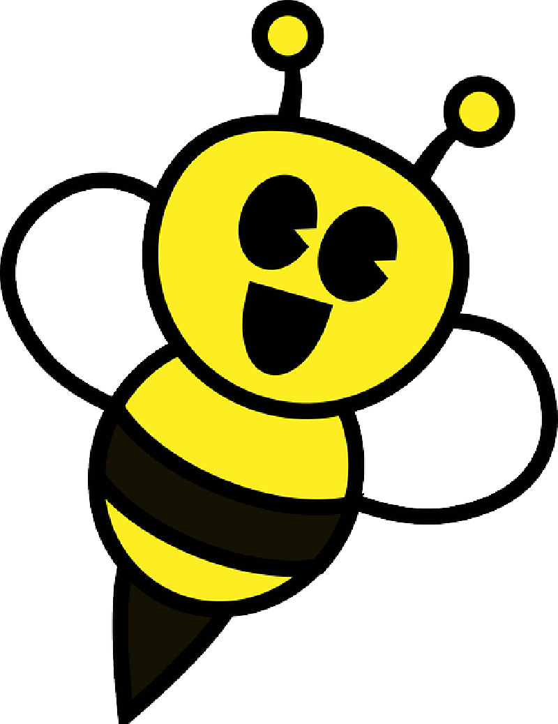 Bee insect wasp honeybee cute happy