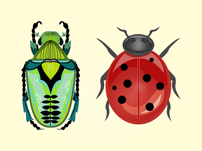 Beetle designs themes templates and downloadable graphic elements on