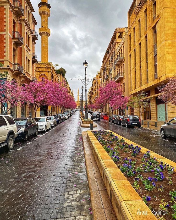 Beirut wallpaper hd ideas beirut beirut lebanon lebanon