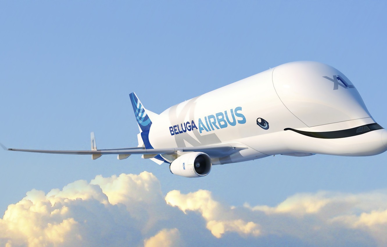 Wallpaper the plane wings the plane cargo airbus beluga a airbus beluga super transporter beluga xl cargo airbus airbus beluga xl airbus xl airbus a images for desktop section ððððñðñ