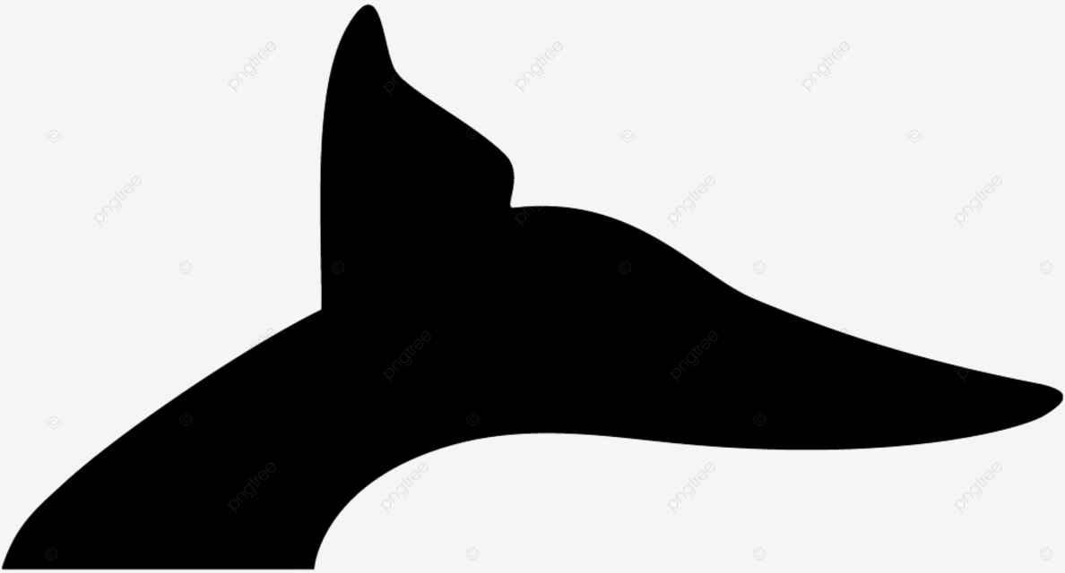 Whale tail silhouette png transparent blue tail whale black and sign logo sealife png image for free download
