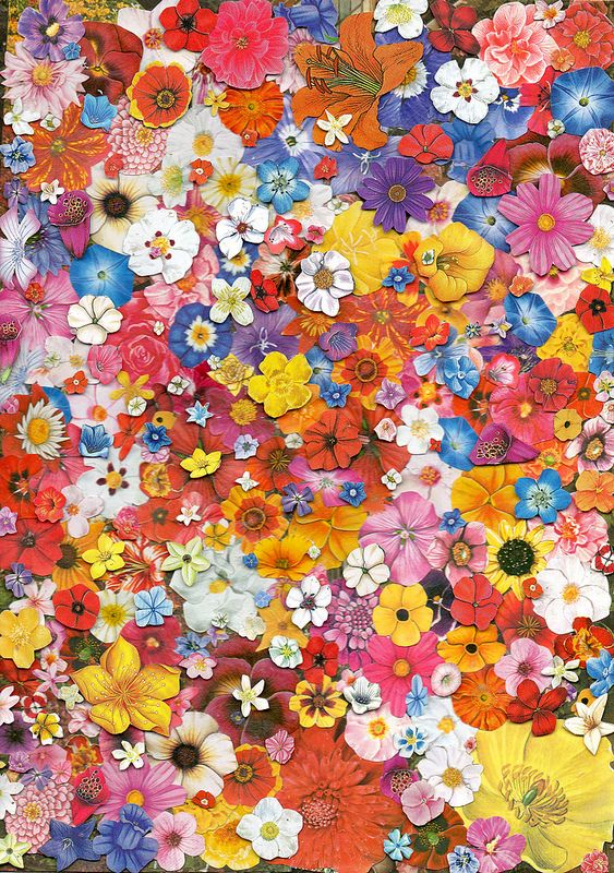 Flower prints art magazine collage flower collage