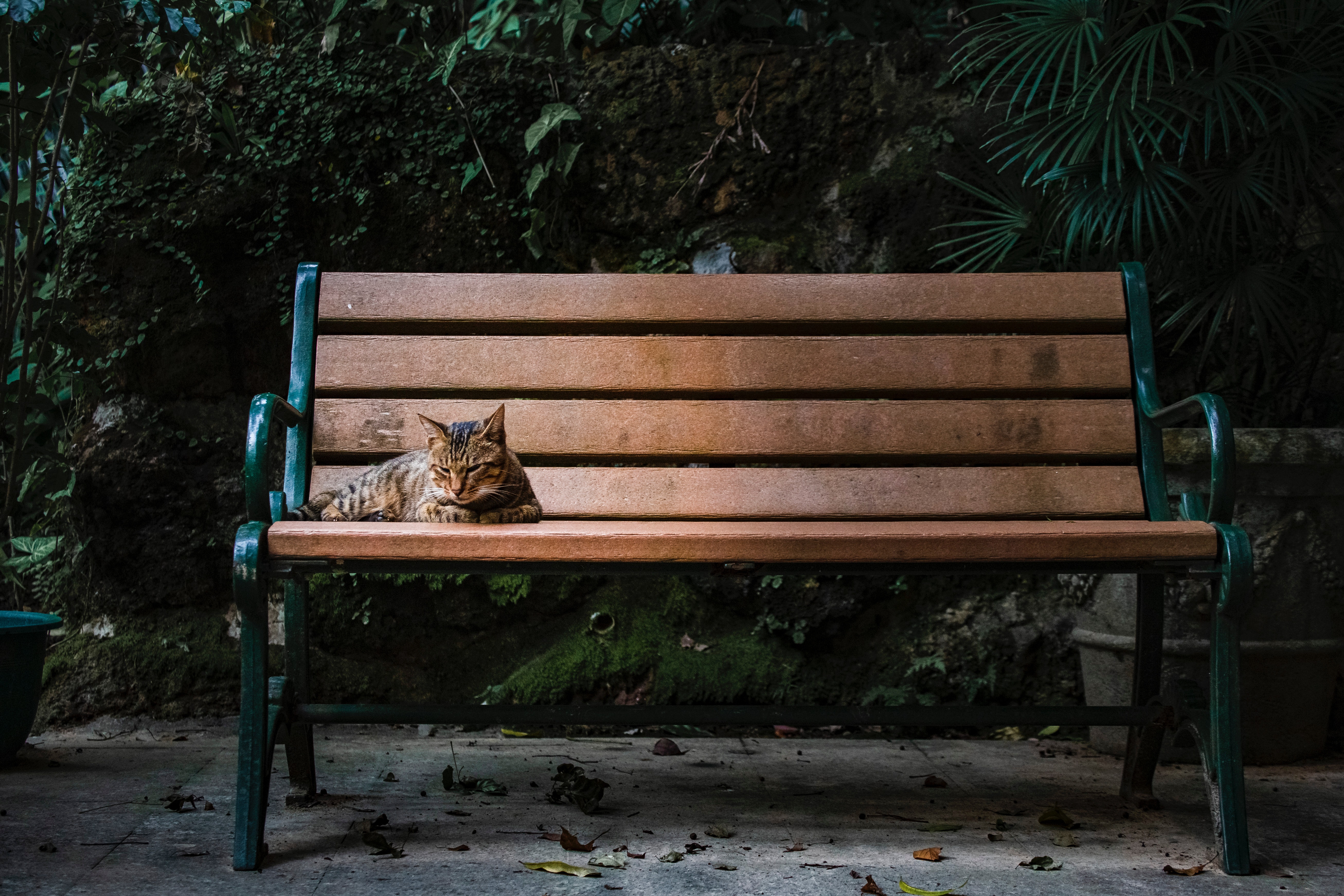 HD lonely bench wallpapers | Peakpx