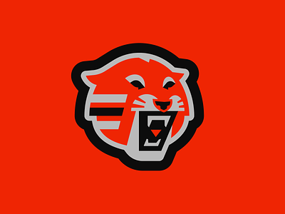 Cincinnati bengals by alex litovka on