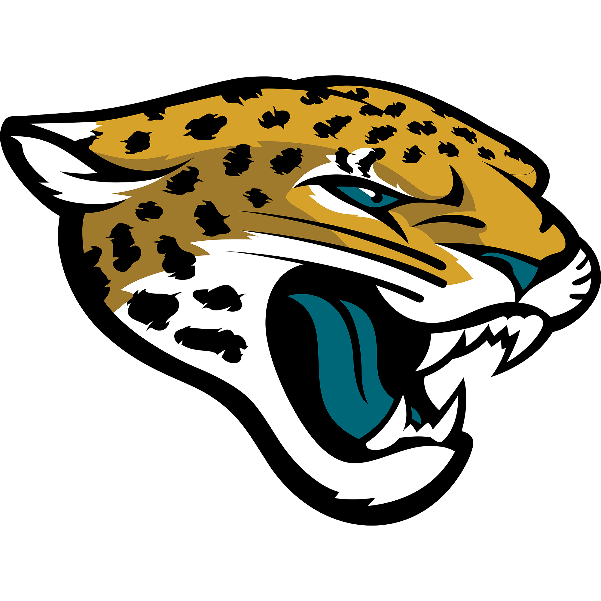 Jacksonville jaguars â creative sports