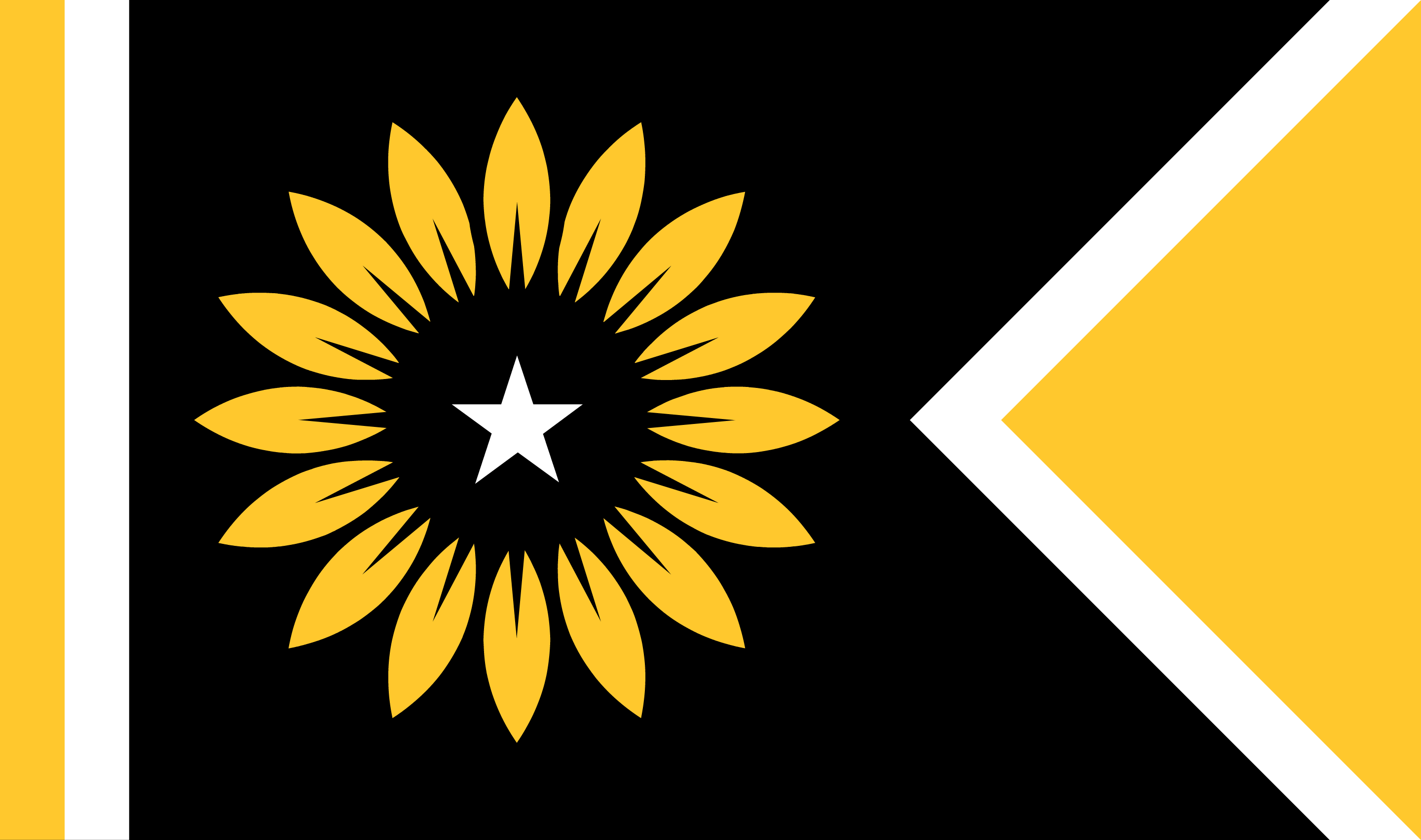 Flags used in the russo