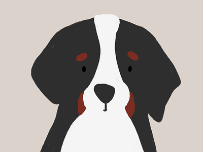 Bernese mountain dog designs themes templates and downloadable graphic elements on