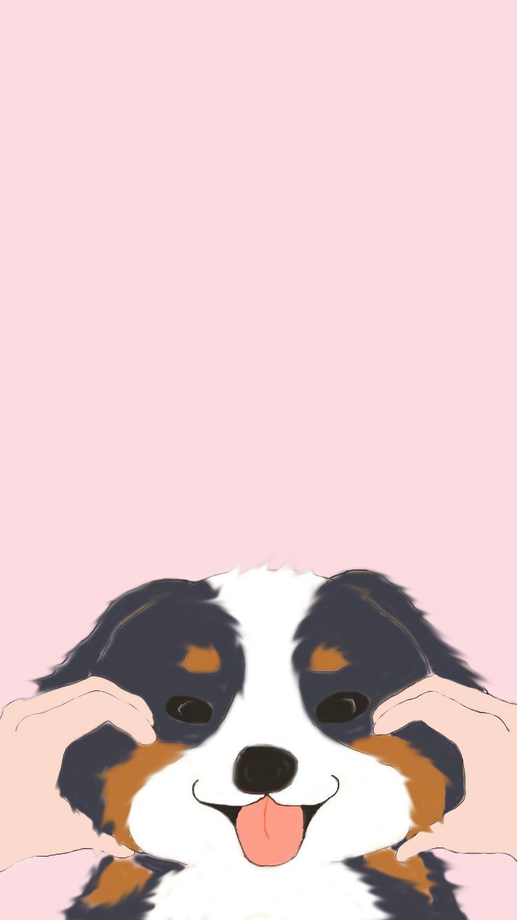 Free iphone wallpaper bernese mountain dog puppy dog wallpaper iphone dog wallpaper free iphone wallpaper