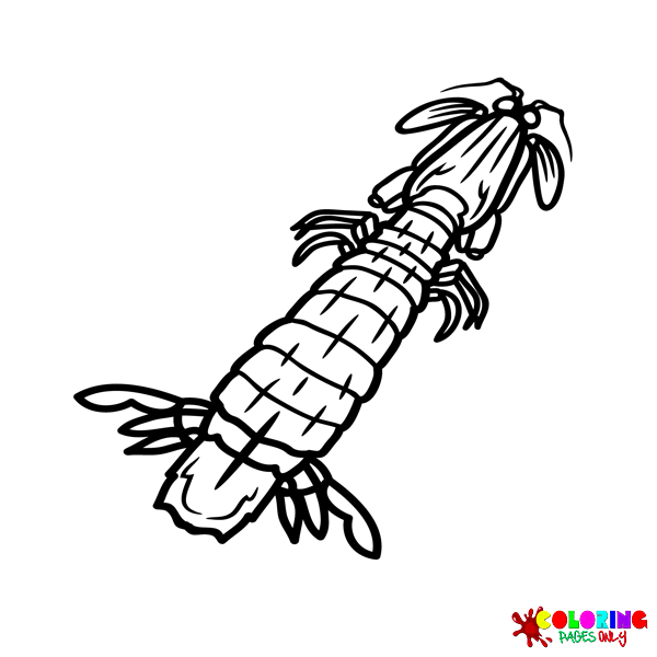 Mantis shrimp coloring pages