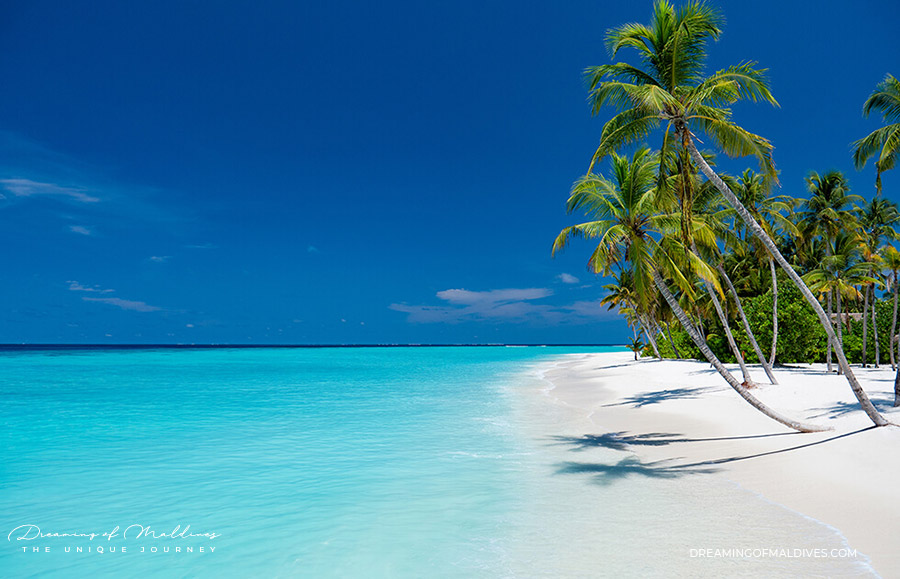 Download Free 100 + best beaches maldives Wallpapers