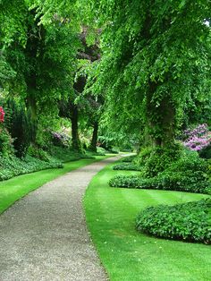 Download Free 100 + best greenery wallpaper