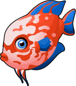 Discus fish tiny zoo wiki