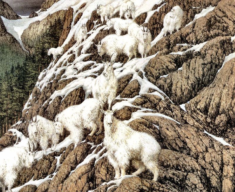 High life by bev doolittle ðñðºññññðð ññññðµðððð