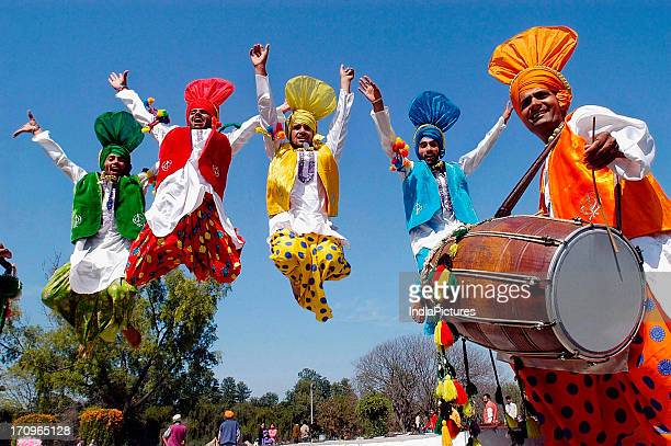 Punjabi bhangra dance photos and premium high res pictures