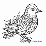 Dove coloring pages