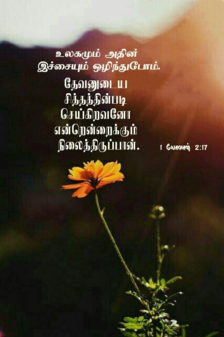 Pin on tamil bible verse wallpapers