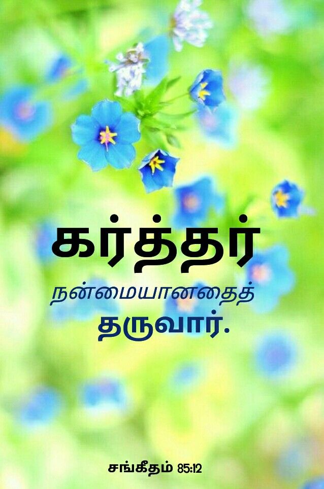 P on tamil bible verse wallpapers