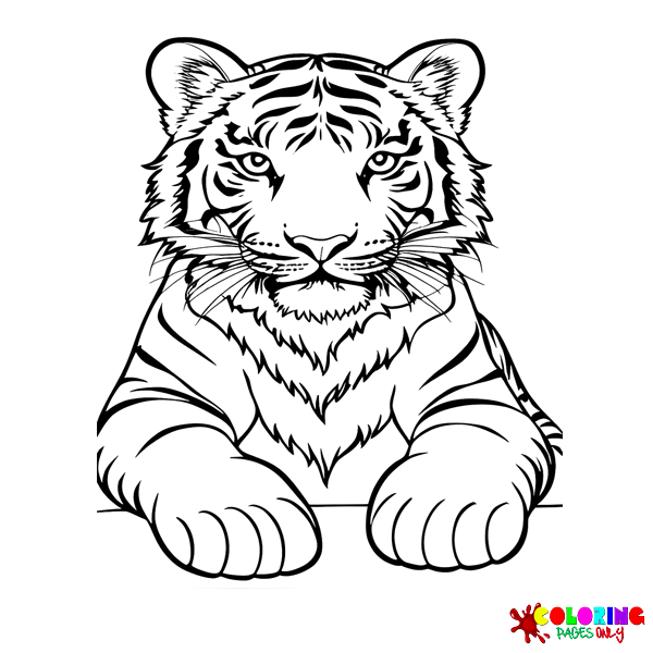 Cat coloring pages