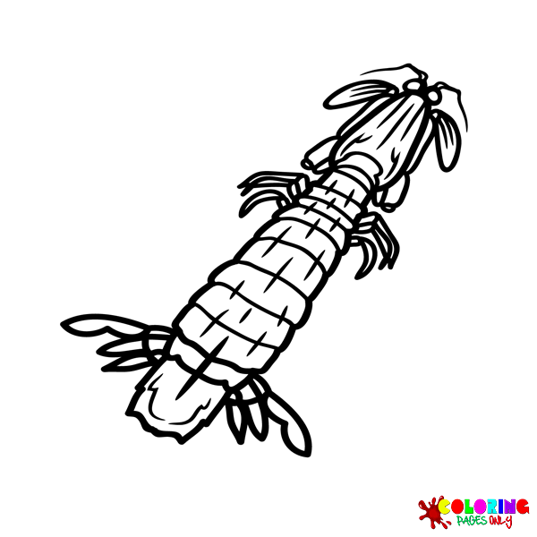 Crustacean coloring pages
