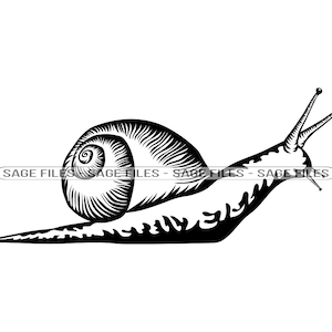 Garden snail svg