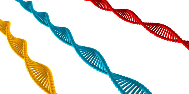 Dna strand png vector psd and clipart with transparent background for free download