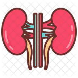 Nephron icons