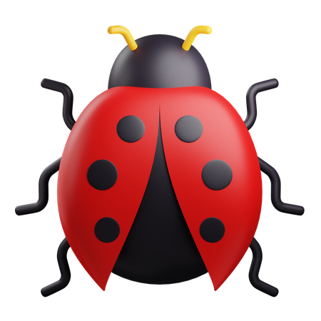 D ladybug illustrations