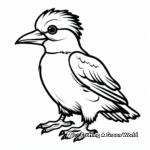 Kookaburra coloring pages